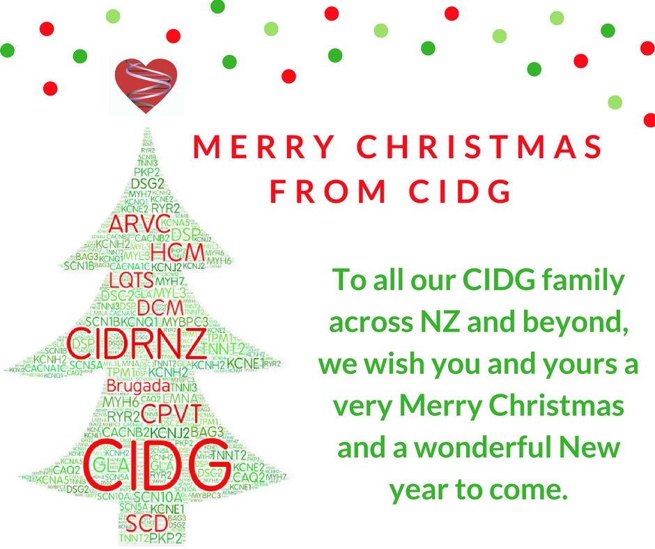 from the team at CIDG (1)